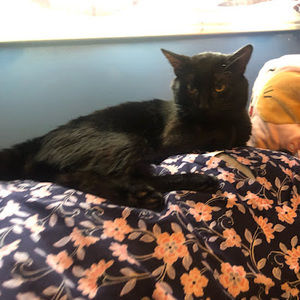 Meet your Posher, Danni